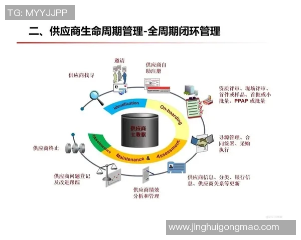 深度解析三分王近期表现与未来发展趋势的全面预测