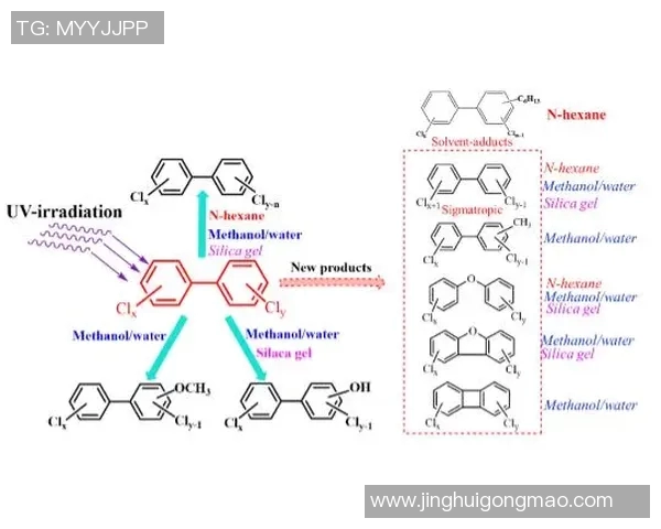 NBA球员体能恢复机制与科学训练方法的综合研究与实践探索