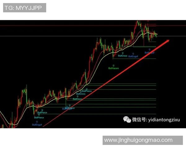 世界级排球比赛发球技术演化趋势及其对比赛策略的影响研究 世界级排球比赛发球技术演化趋势及其对比赛策略的影响研究