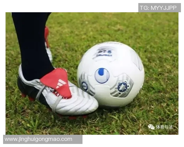 体育法律案例回顾 体育法律案例回顾