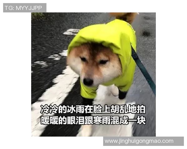 你不知道的浓眉：十大冷知识大揭秘