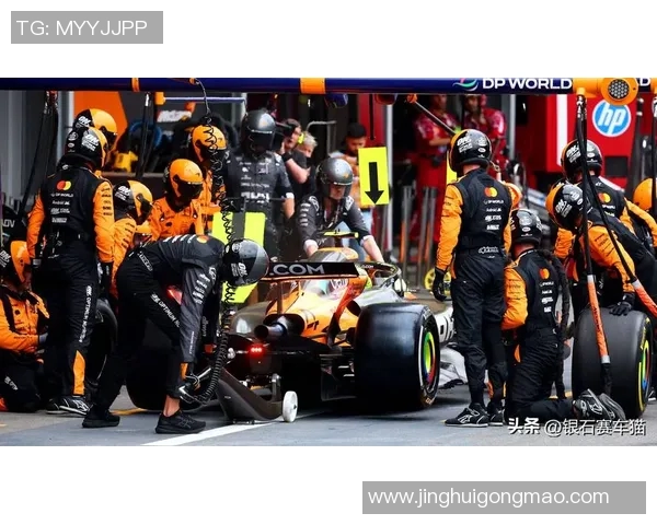 F1赛车燃料策略对比赛成绩影响分析 F1赛车燃料策略对比赛成绩影响分析
